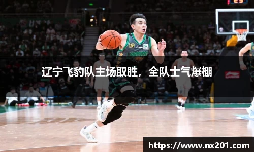 纳米体育官网