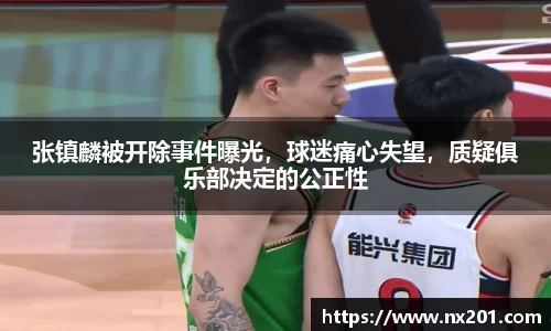 纳米体育官网