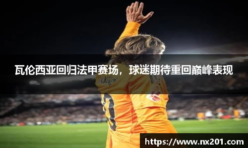 纳米体育官网