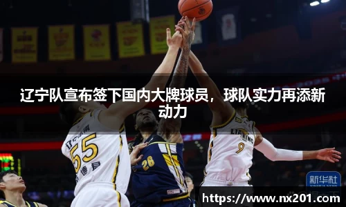 纳米体育网址