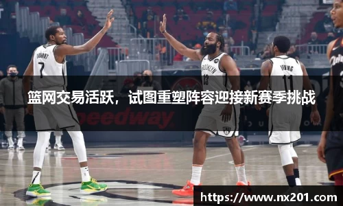 纳米体育网址