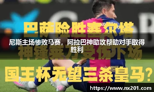 纳米体育网址