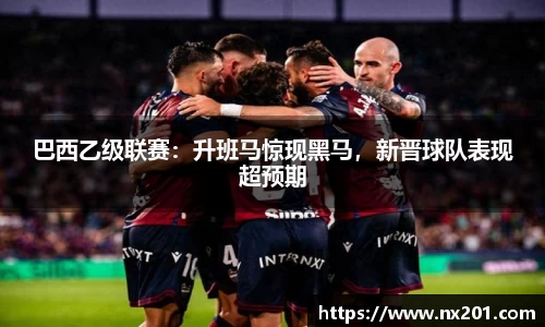 纳米体育官网