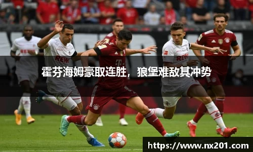 纳米体育官网