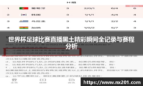 纳米体育官网