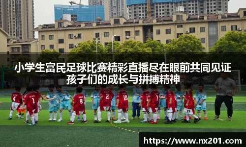 纳米体育官网