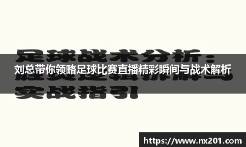 纳米体育网址