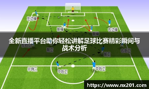 纳米体育官网