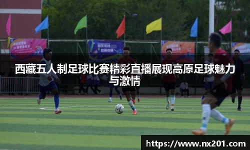 纳米体育网址