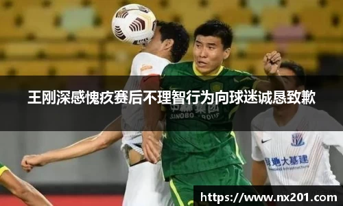纳米体育官网