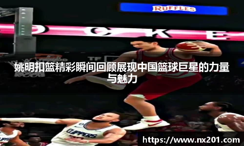 纳米体育网址