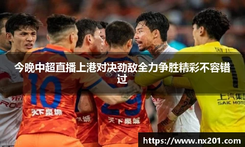 纳米体育网址